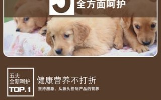 欧迪宠物狗粮：专业解析与选购建议