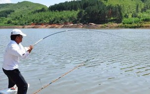 休克代偿期和失代偿期是什么意思