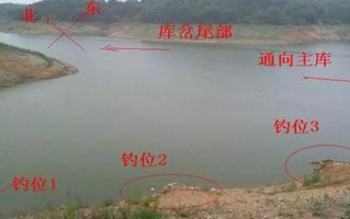 黄陂垂钓位置推荐