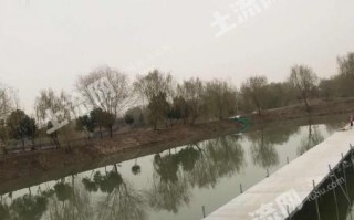 优美的河畔垂钓风景