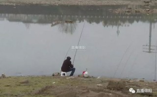 松江区禁渔期