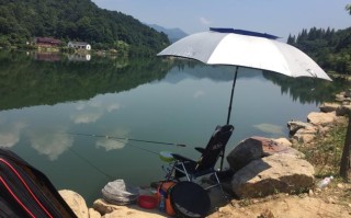 我垂钓诸天开局钓到响雷果实