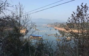 沅陵河里准钓鱼吗
