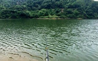 温州玉岙休闲垂钓