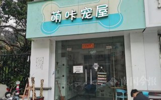 连锁的宠物店
