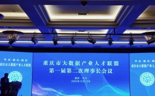 重庆大数据企业调研中心官网