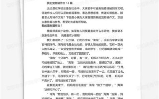 优秀作文350字可抄