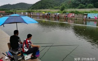 请问钓鲤鱼用什么饵料最好