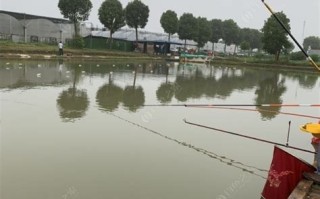 垂钓区域新建300余处：促进生态保护与休闲旅游发展
