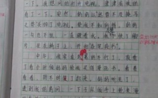 记录宠物成长