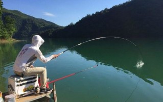 睢宁钓鱼网