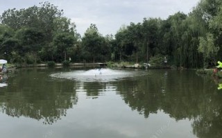 西溪湿地钓鱼
