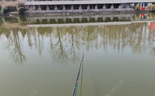宜都山水