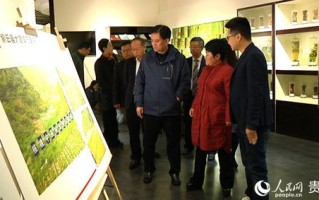 县（市区）政协双推协商进景区乡村旅游促振兴