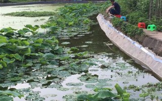 重庆大学城龙湖学樘府户型介绍