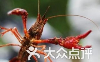 杭州小龙虾垂钓基地