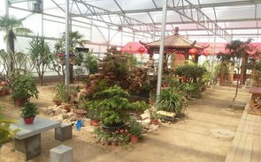 南京垂钓活动基地免费