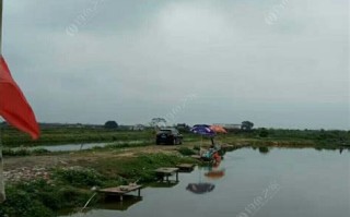 东江农人钓鱼视频