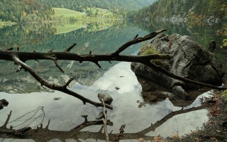 桂林山水，一幅活色生香的中国山水画
