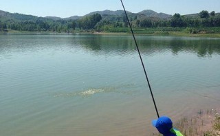 云竹湖垂钓2022指南