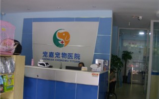 菲凡宠物诊所