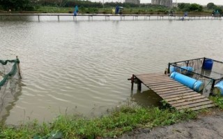 重庆垂钓地点