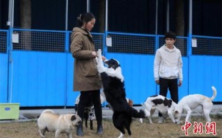 2021西安养犬