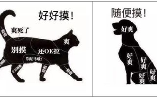 古代养宠物的人雅称