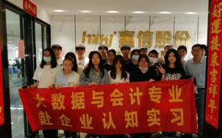 大数据与会计的职业技能是什么