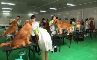 培训课程内容