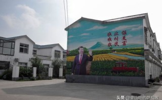 石桥镇宠物店在哪里