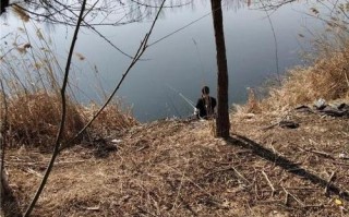 享受自然乐趣：济阳休闲垂钓