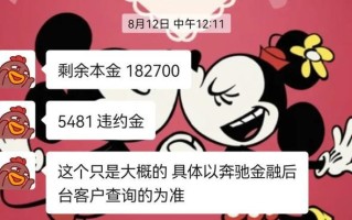 奔驰贷款需要看大数据吗