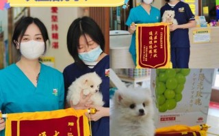 南宁市宠物医院推荐