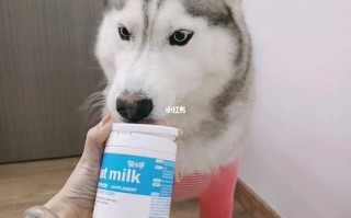 选择适合的宠物奶粉