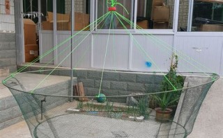 垂钓图片高清