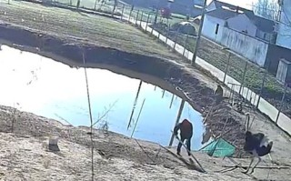选择合适的鱼塘