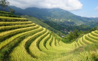 桂林龙脊梯田的美丽之旅，从市区出发的完美路线