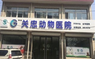 雷州宠物医院
