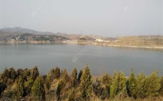 长方形鱼池钓什么位置