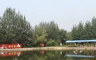 灵武农场