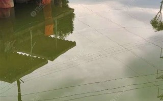 龙泉农家乐钓鱼的地方