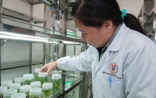 学校组织聚餐收费引发争议，每人四百元引发吐槽