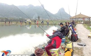 炖鸡腿鸡爪