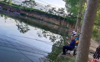 宣城野生动物园门票多少