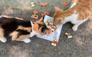 阿猫阿狗宠物会所