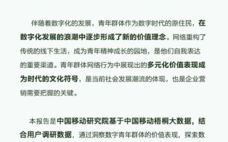 大数据与审计学什么课程