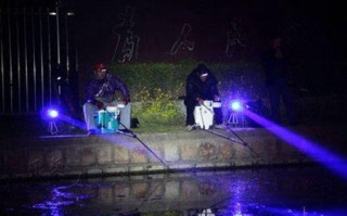 夜晚怎么钓黑鱼