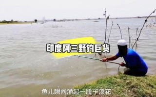 雨中钓鱼视频