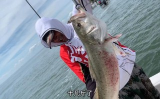 淡水鲈鱼如何垂钓